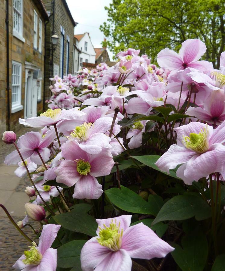 Aldersyde Bed & Breakfast Robin Hood's Bay Exterior foto